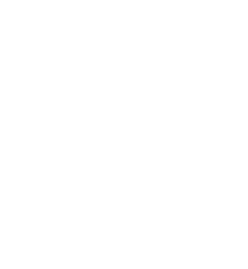 Brain Icon